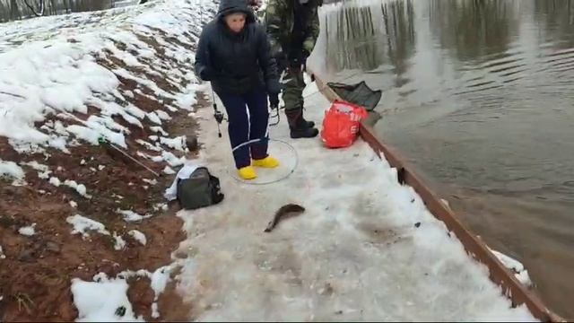 WhatsApp Video 2024-12-01 at 10.03.11
