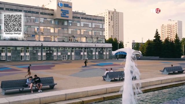 Зелёная дипломатия на пользу экологии | Наша природа с Натальей Торнквист
