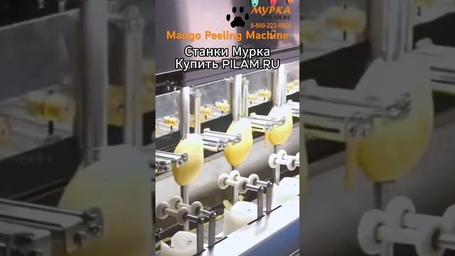 Мурка  FX Станок для очистки кожуры манго купить на pilam.ru