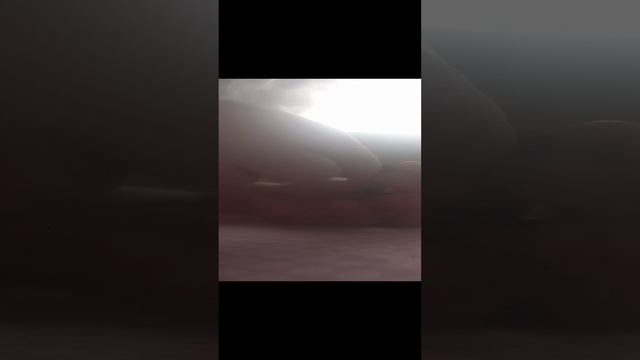 1000071886.mp4