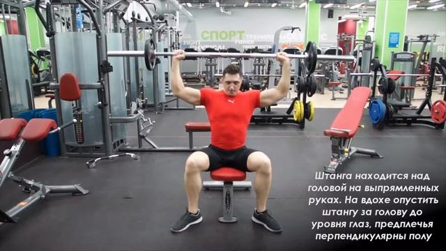 Упражнения. Жим сидя за голову.