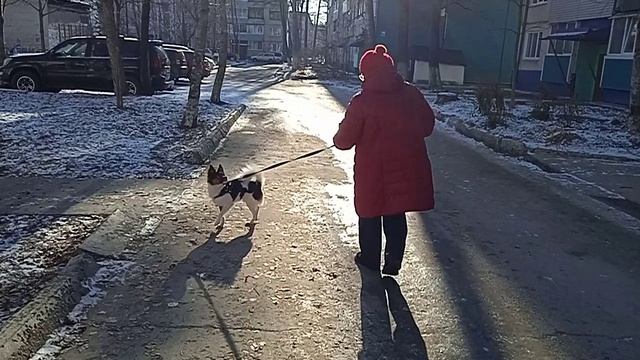 VID_20241201_111350.mp4