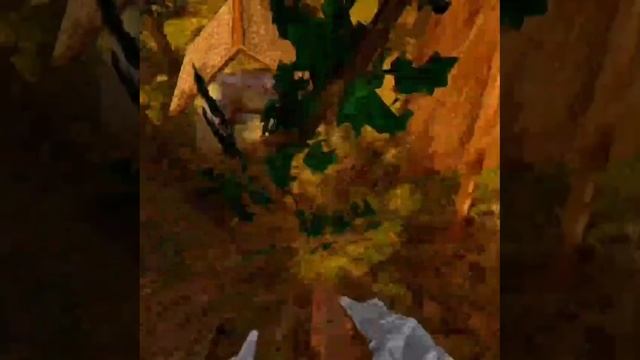 1000042201.mp4