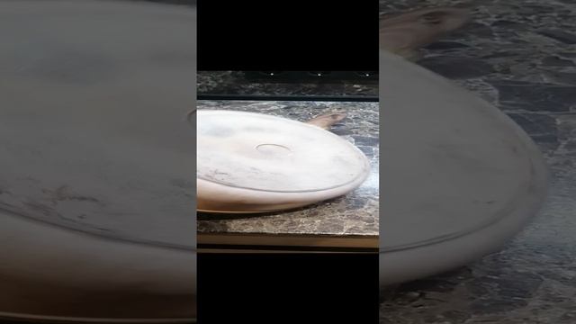 Стальная добротная сковородка