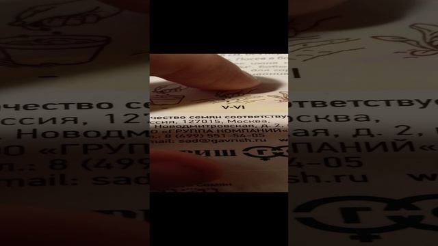 обзор на семена фасоли "нота"