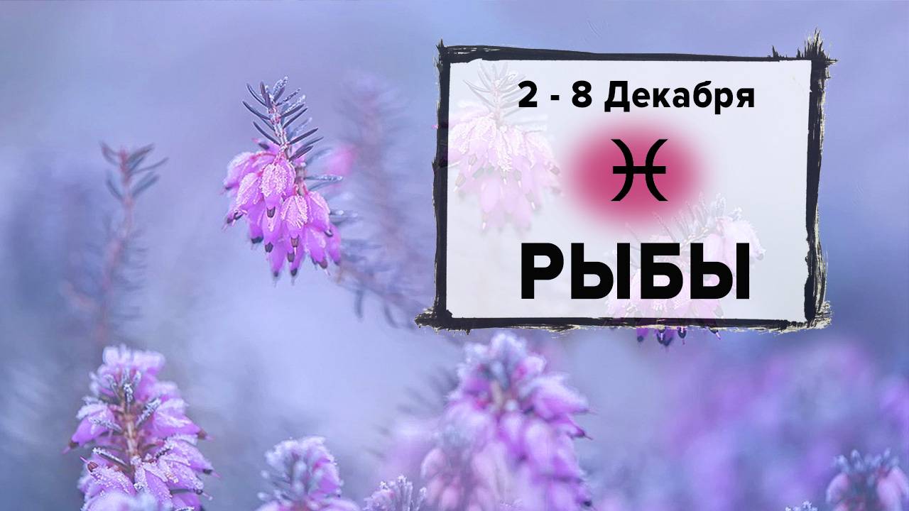 РЫБЫ ♓ 2 - 8 Декабря 2024 | Расклад таро на неделю для знака Зодиака Рыбы