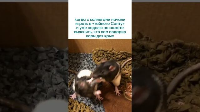 отправляй своему любимому коллеге 😁