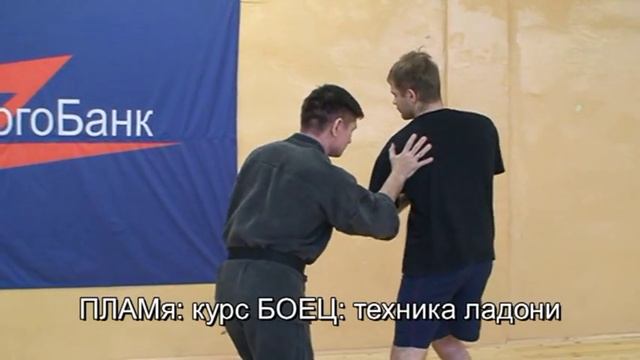 ПЛАМя - удар мертвой ладонью