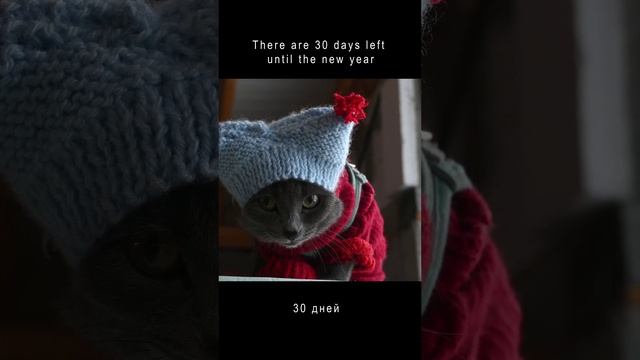 До нового года осталось - 30 дней