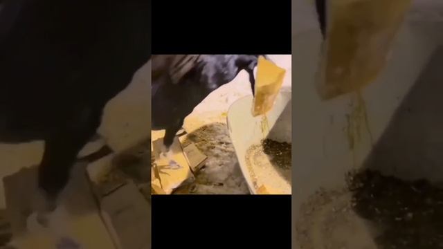 Россия вышла из положения и решила вопрос с нехваткой рабочей силы ✊ 🐦⬛