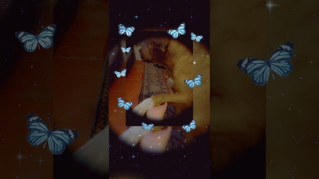 🌸🎀 милашки 🌸🎀