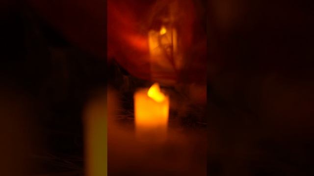 NIKARU - Ядом. На всех музыкальных площадках!