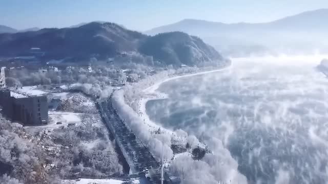 Уникальные кадры, удивительные моменты 🤨 Подборка