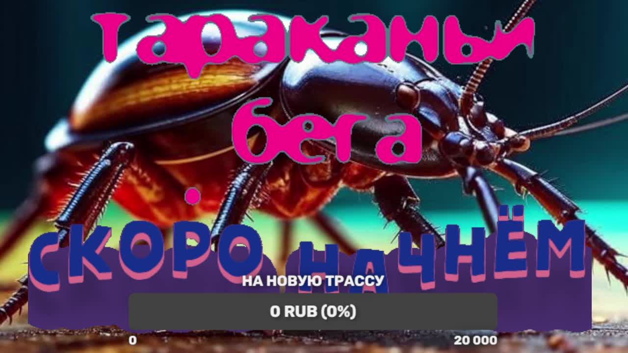 Тараканьи бега 01.12.2024