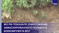 ВС РФ FPV-дроном уничтожили замаскированный полевой боекомплект ВСУ в Харьковской области