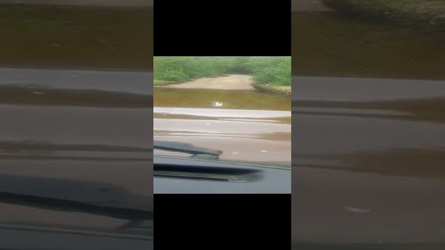 Грязевые ванны