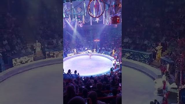 Цирк 5 континентов Ставрополь ноября 3