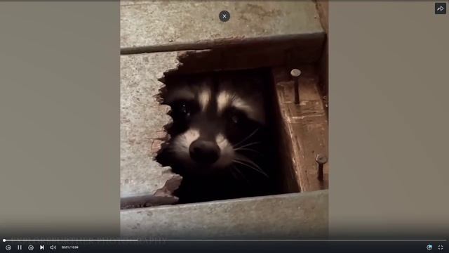Видео без названия — сделано в Clipchamp