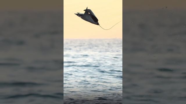 2_5357402300765724186.mp4