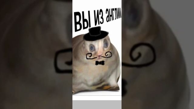 мемчик