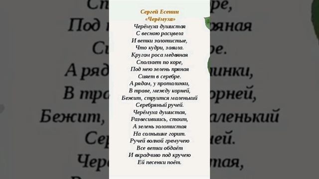 Сергей Есенин. Стихотворение черёмуха