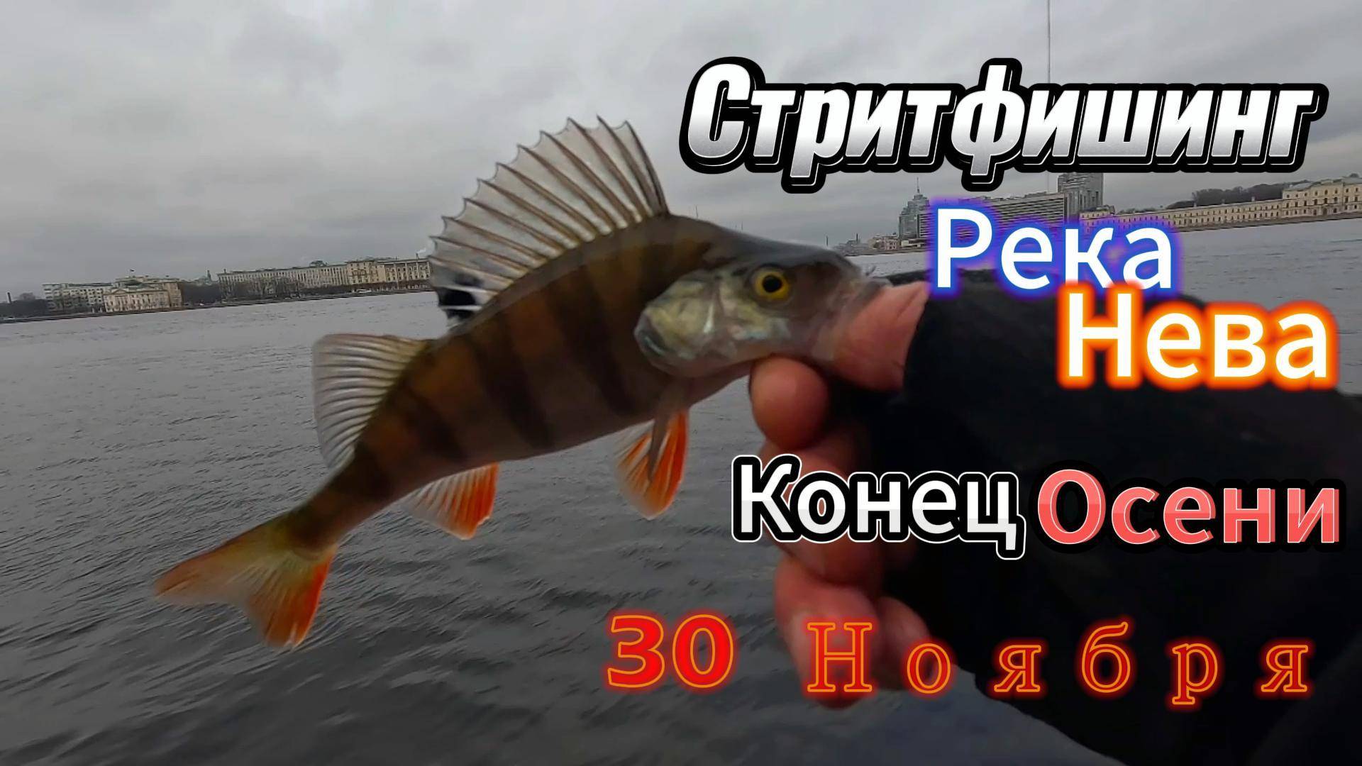 СТРИТФИШИНГ КОНЕЦ НОЯБРЯ РЕКА НЕВА В НЕВЕ ВОДИТСЯ 79 ВИДОВ РЫБ С ИГОРЕМ ЗАКРЫЛИ ОСЕННИЙ СЕЗОН