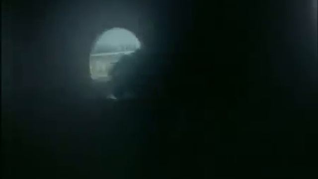 Дружественный огонь