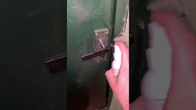 Вирусы микробы