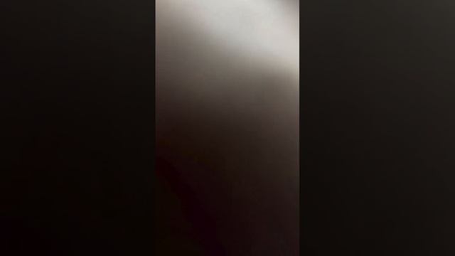 Суровый булли