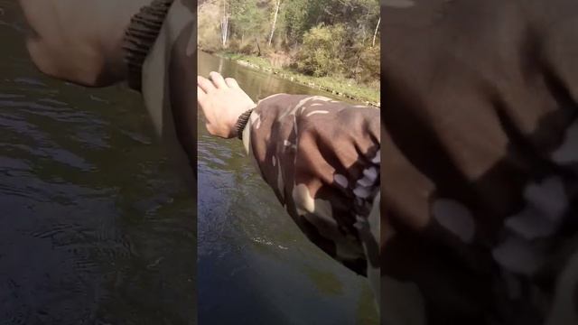 На рыбалке.