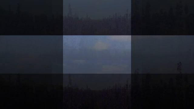 Идеи для сада: цветы, которые можно посеять в январе