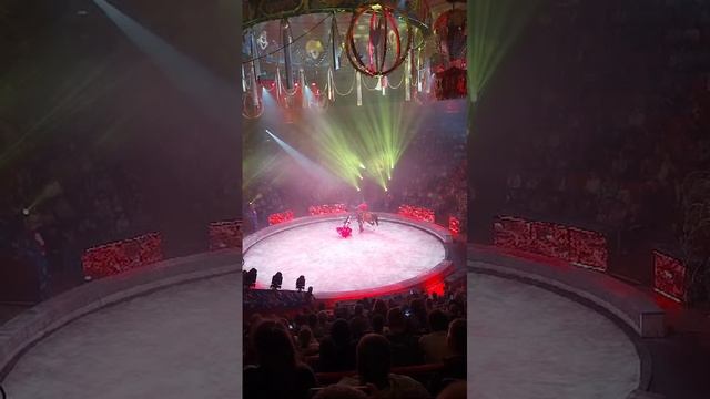 Цирк 5 континентов Ставрополь ноября 3