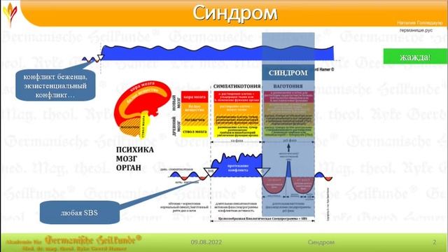 СИНДРОМ - самая важная тема в Германише/ГНМ