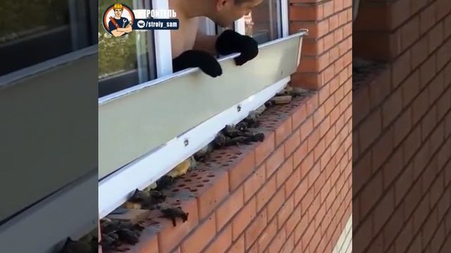 Решил поменять отлив, а тут такие друзья