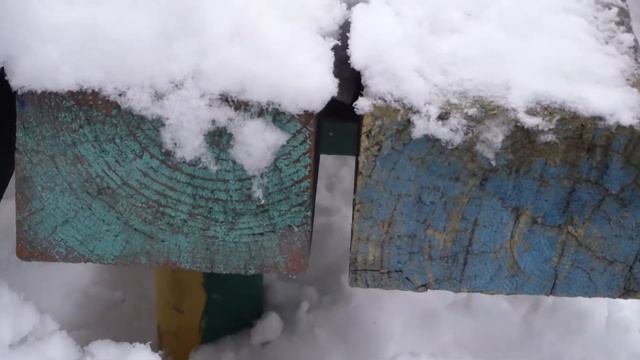 Репортаж о скамейке