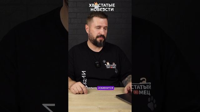 Толстый пингвиненок Песто начал худеть
