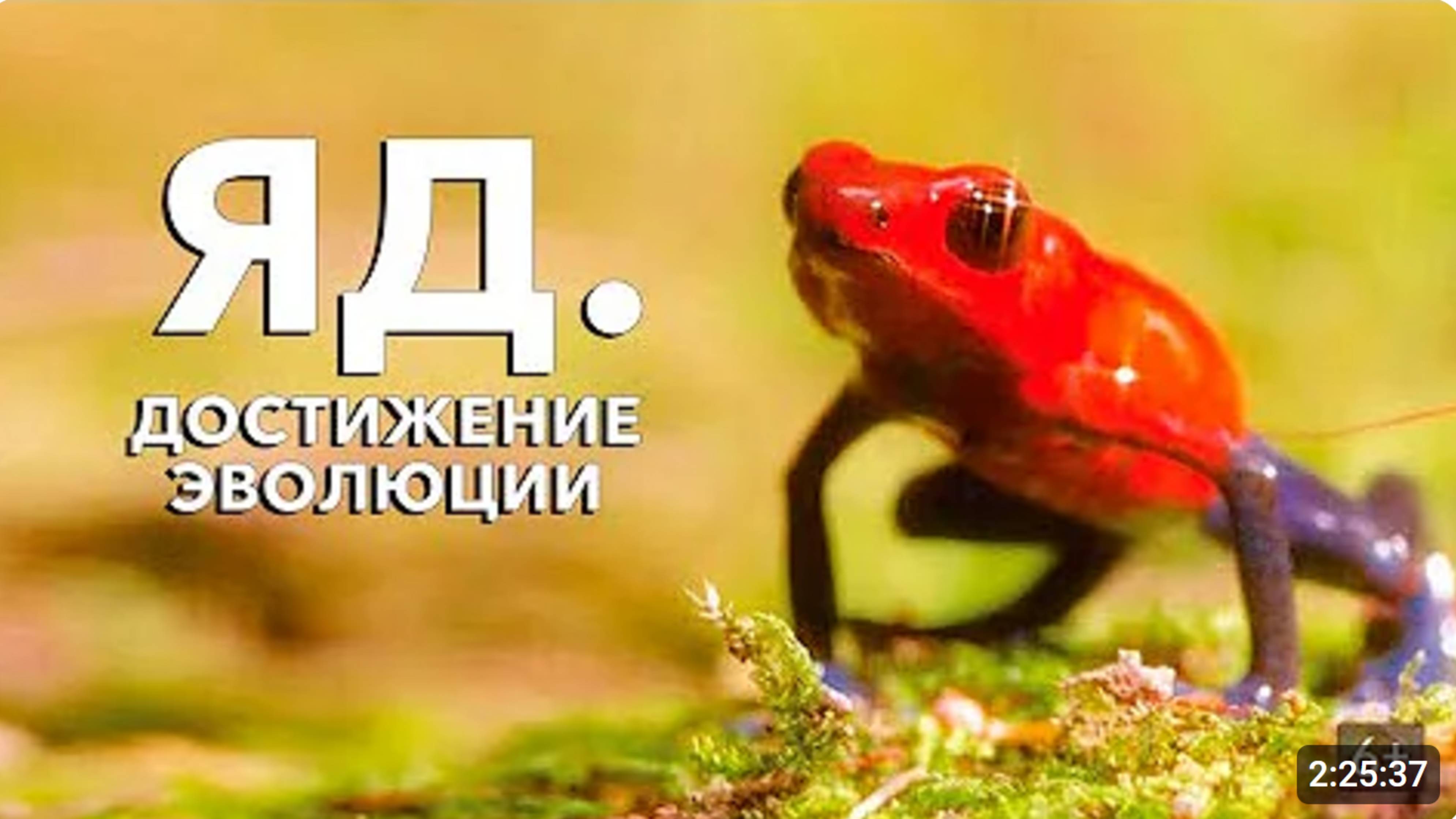 ОЧЕНЬ ИНТЕРЕСНЫЙ ФИЛЬМ О ЯДОВИТЫХ ЖИВОТНЫХ! Яд. Достижение эволюции