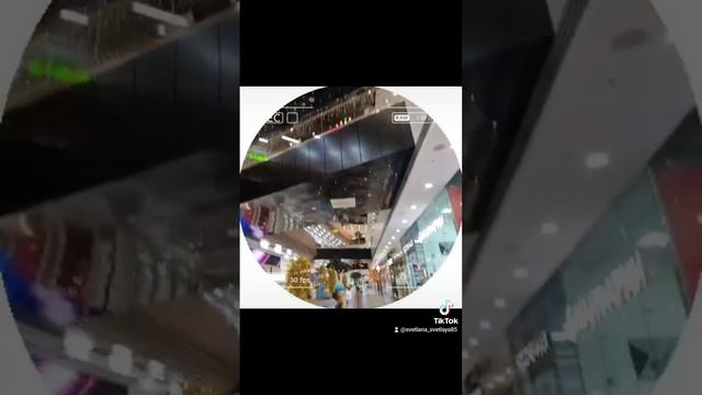осень2024