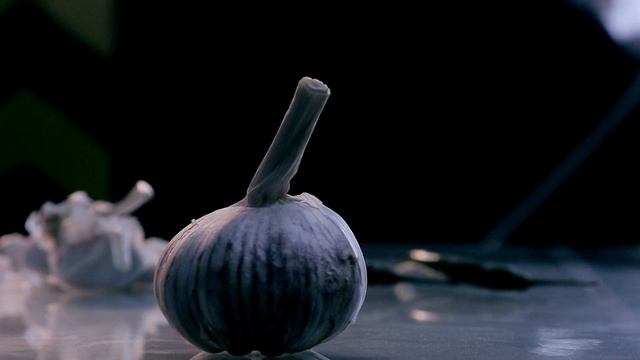 5731530-hd_1920_1080_25fps