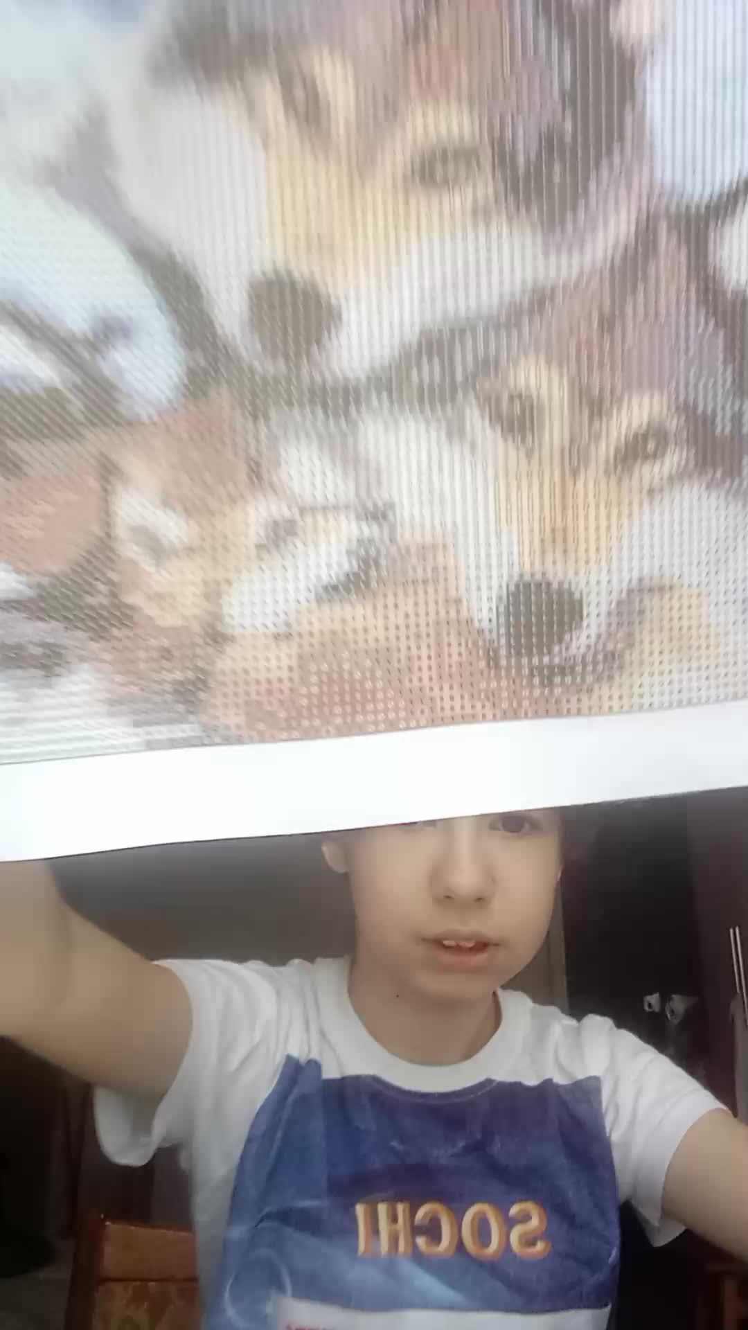 ксюха