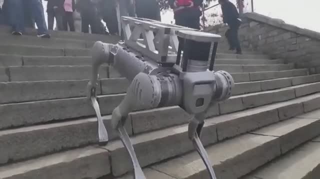 Робот-собака – новый друг человека