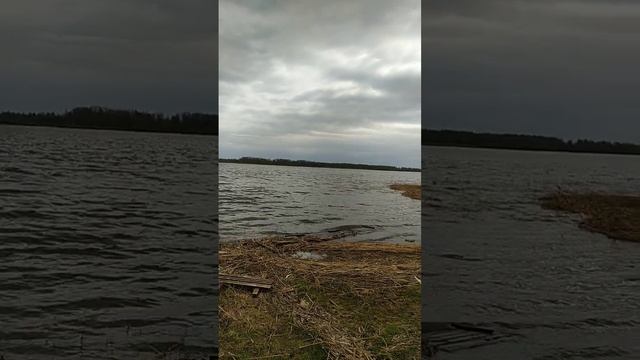 25 апреля 2024 г.