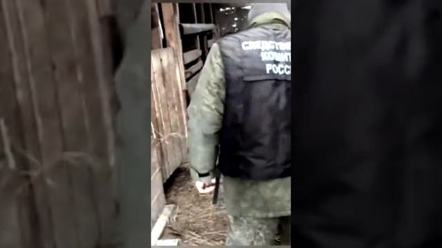 Задержан преступник, причастный к смерти 15 летней девочки в свинарнике