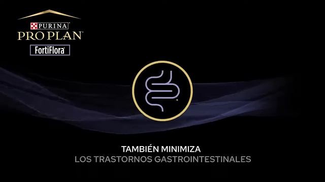 Fortiflora un probiótico para mascotas con beneficios demostrados - Piensoymascotas