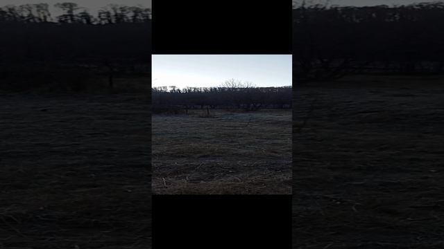 VID_20241121_082710.mp4