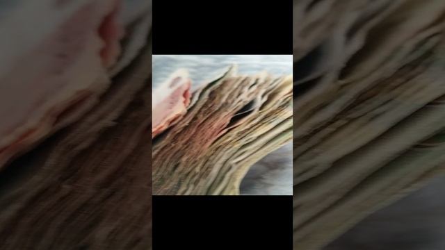 VID_20241201_143111.mp4