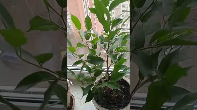 video_2024-12-01_14-08-59