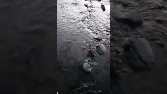 няма муэ на оялани хэейни