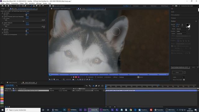 VoluMax 6 3D Photo Animator Tutorial - Paint Depth Map