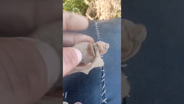 Находочки с одного копа.
